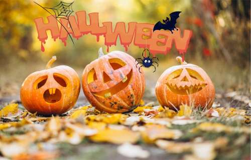 img title Halloween a Carmignano fra pozioni magiche, vampiretti, visite spettrali al buio e letture video animate