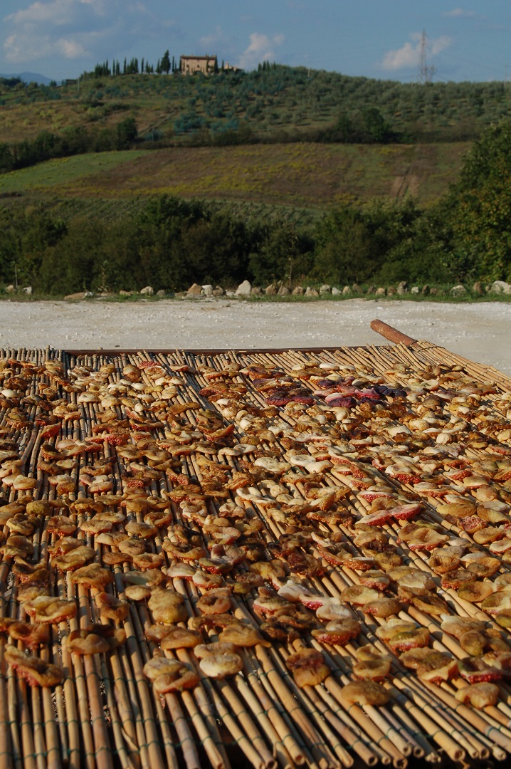 I fichi secchi di Carmignano